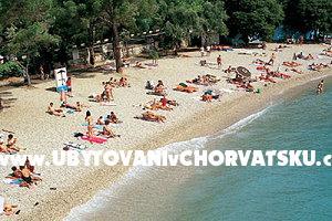 Adria Lovran  – photo 7