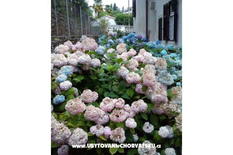 Apartments Villa Adelina – photo 18