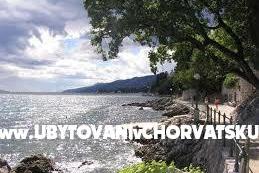 House Evergreen- sea view  Kvarner  – photo 13