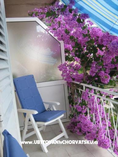 Apartment Bojana – photo 2