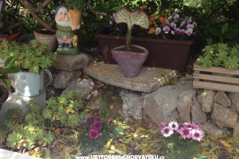 Apartment Lilly – photo 12