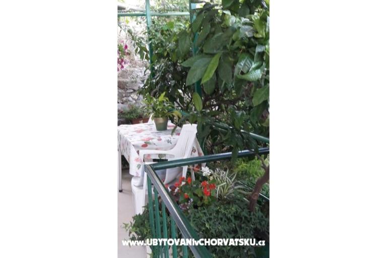 Apartment Olga – photo 11