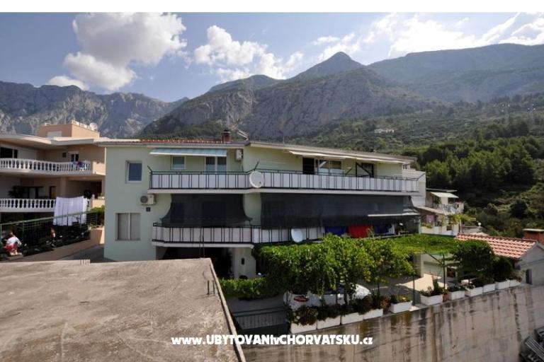 Apartments Dragana – photo 5