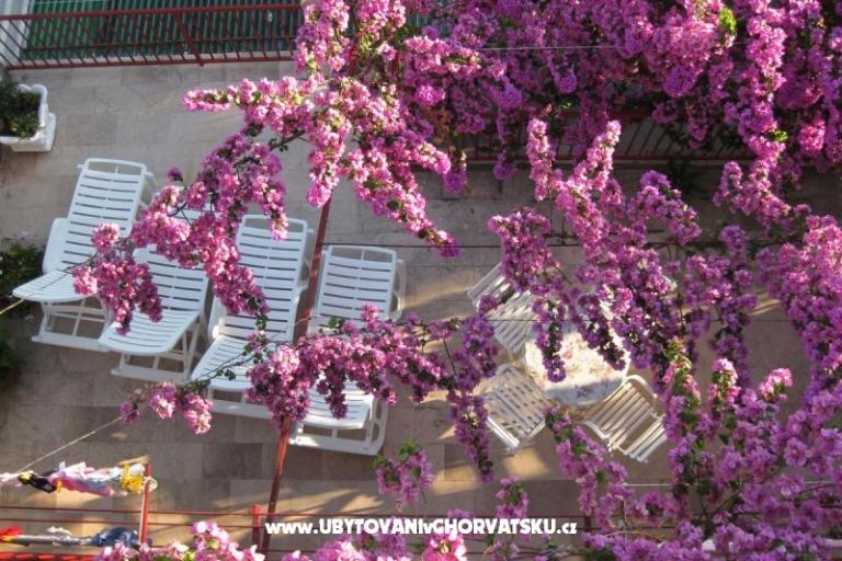 Apartments Kruno – photo 4