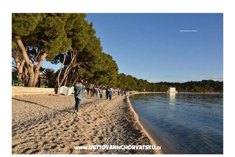 Apartments Martina – photo 4