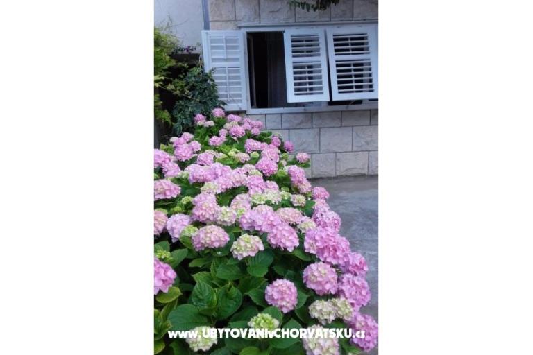 Apartments Jele – photo 7