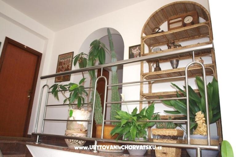 Apartments Mihić – photo 14