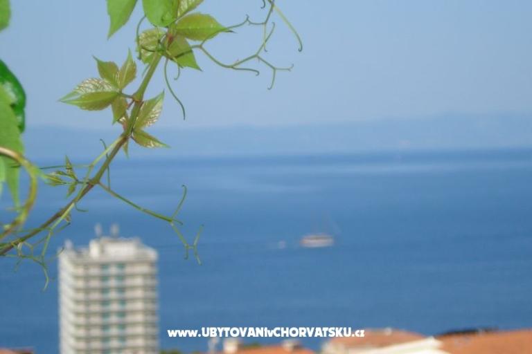 Apartments Milic – photo 11