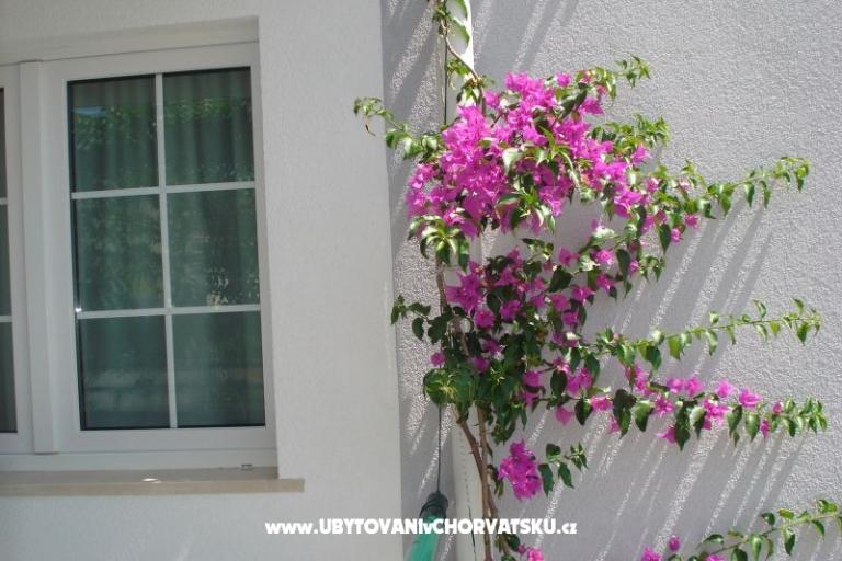 Apartments Milic – photo 16