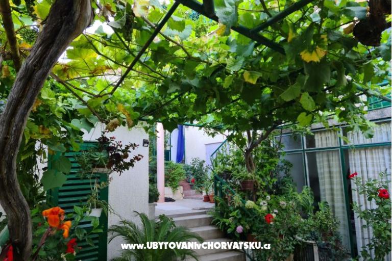 Apartments Vinea – photo 2