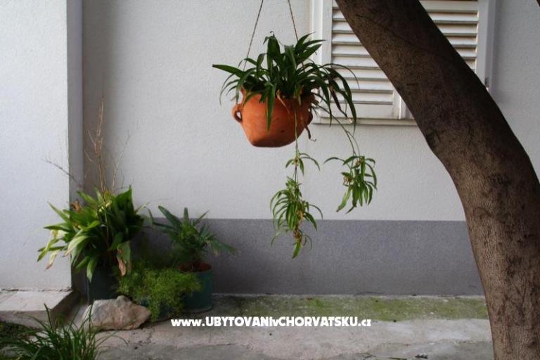 Casa Galleria Rica – photo 4