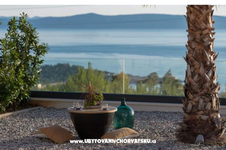 Luxury Visium – photo 9