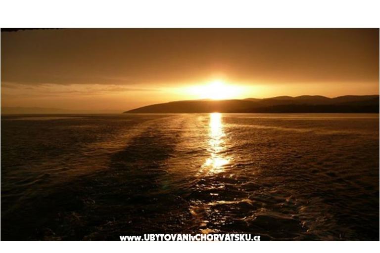 MARADO – photo 11