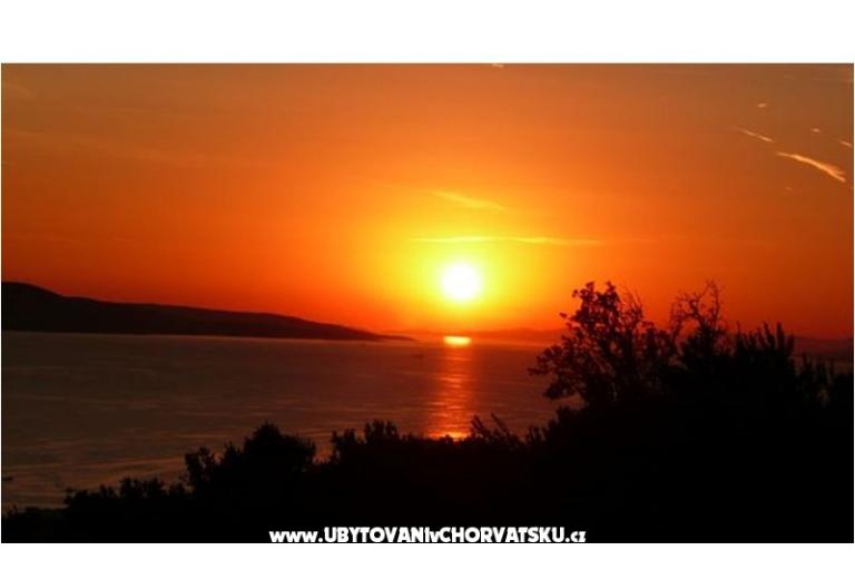 MARADO – photo 9