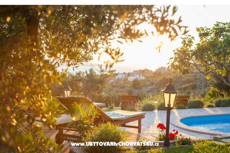 Rustic Oliveto – photo 2