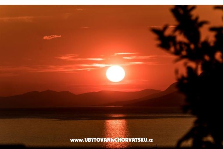 toDalmatia VILLAS  – photo 16