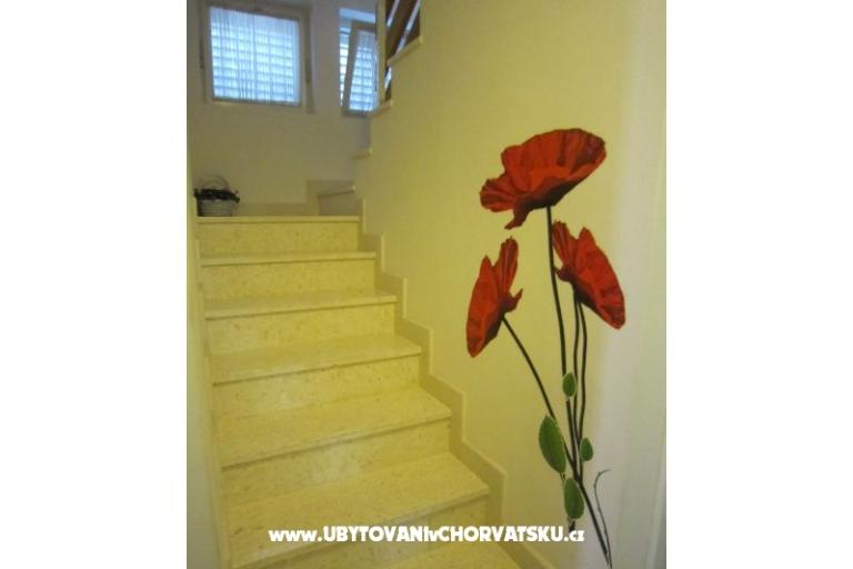 Villa Olga – photo 9