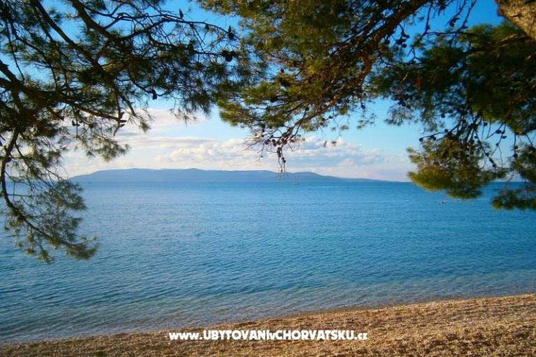 Villa Olga – photo 12