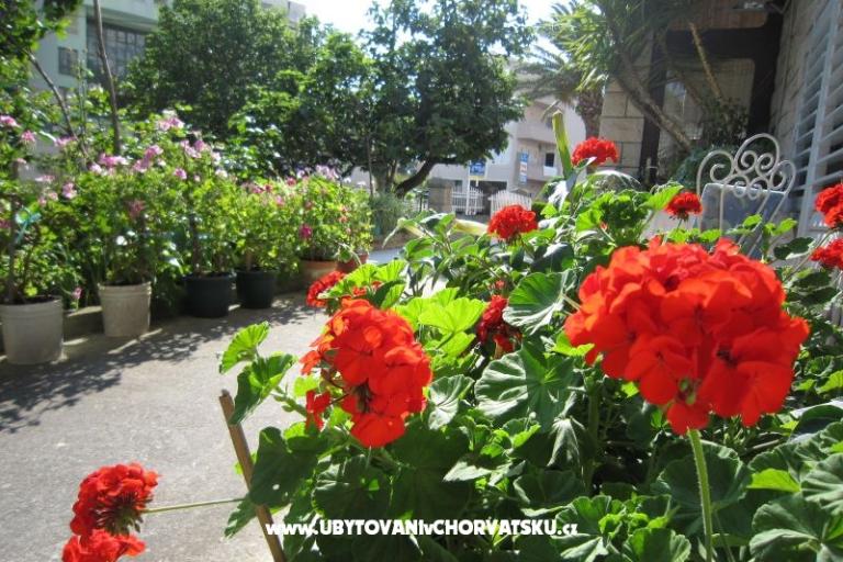 Villa Olga – photo 13