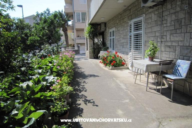 Villa Olga – photo 4