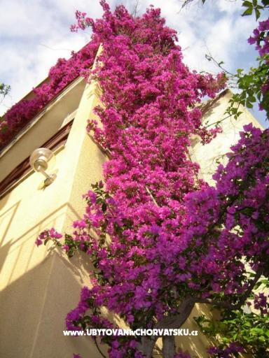 Vila Ventus – photo 16