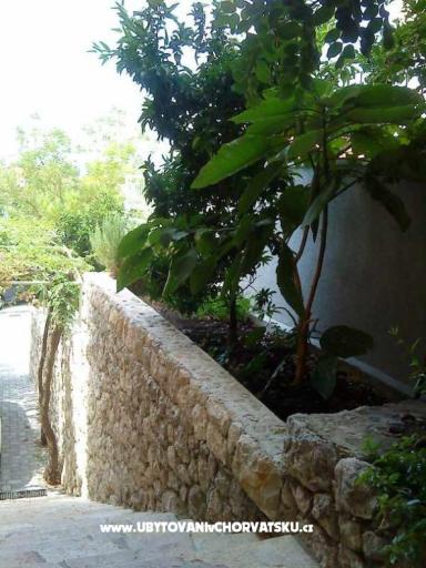 Vila Ventus – photo 17