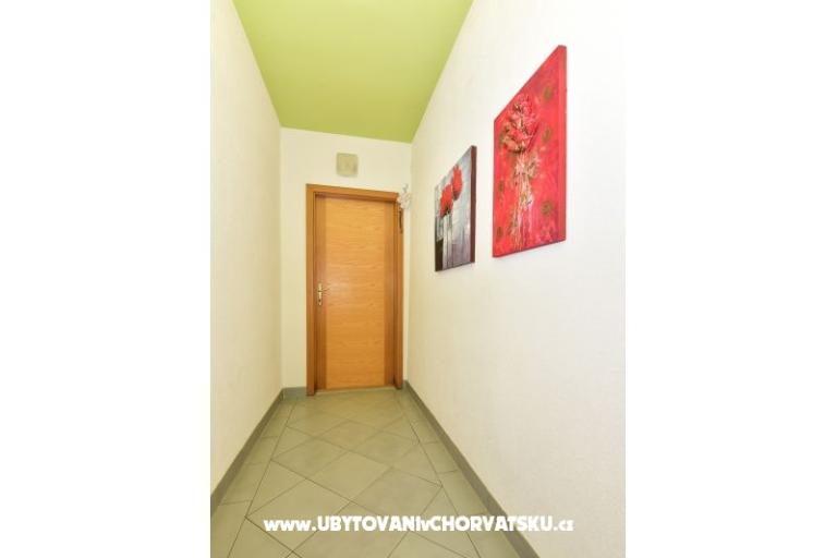 Villa Orhideja – photo 3