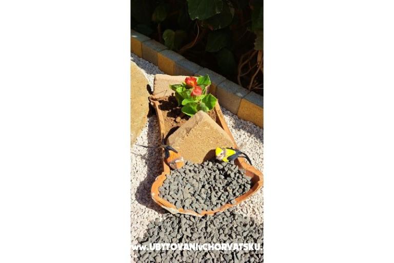 Apartments Avvi – photo 23