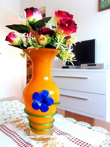 House Marija – photo 5