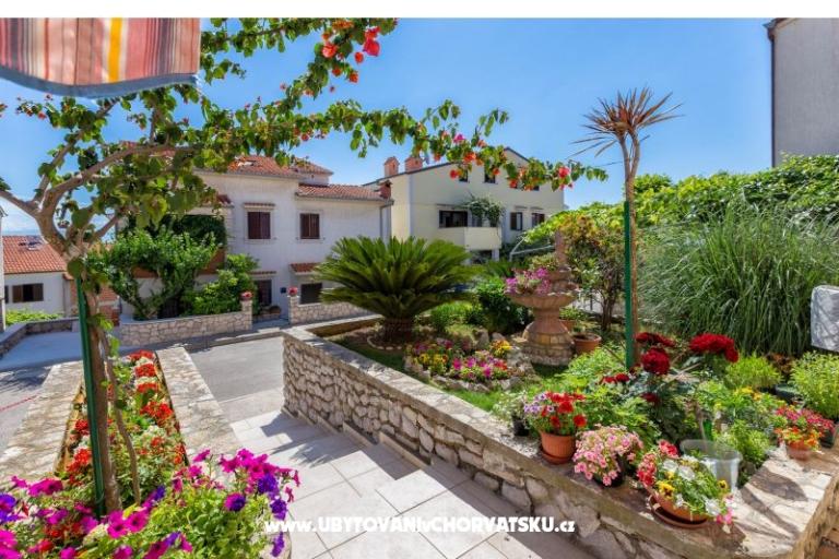 Apartments Ola – photo 2