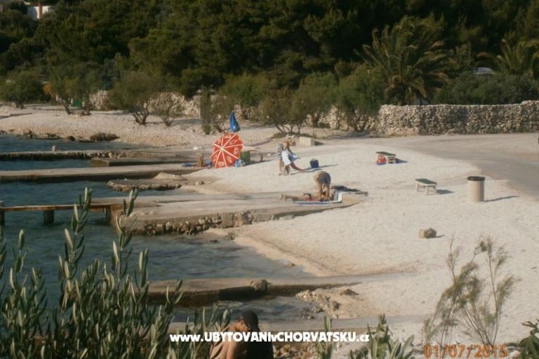 Apartment Oliva – photo 13