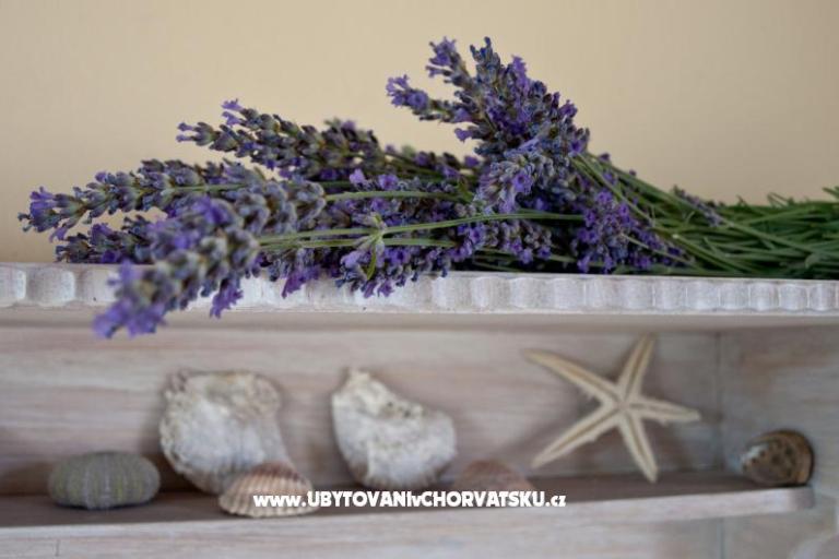 Apartment Villa Merara – photo 4