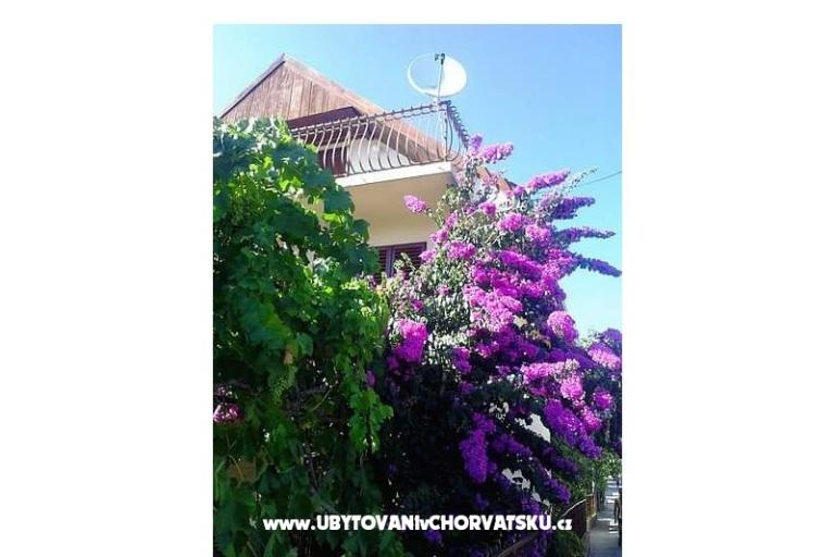 House Marino – photo 17