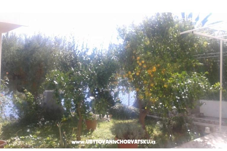 Apartments Neves – photo 13