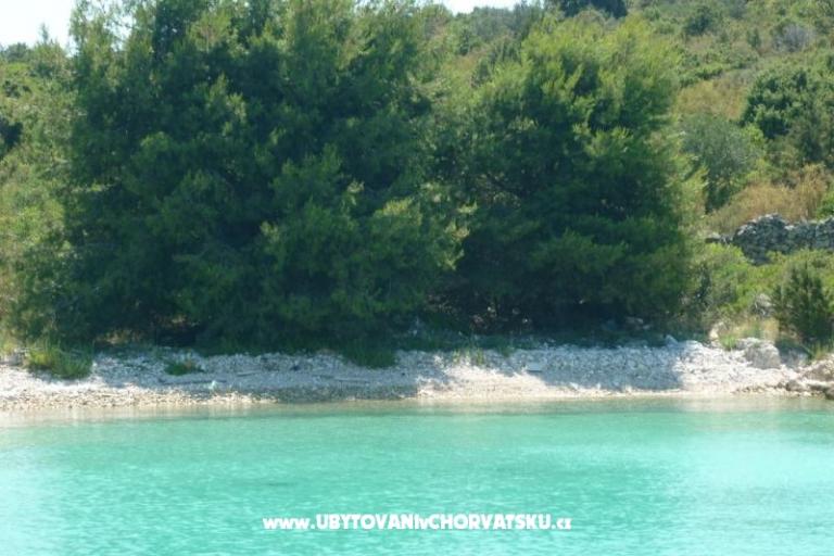 Apartments Vuletić – photo 15