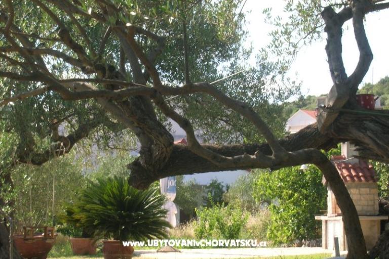 Apartments Mira &amp; Vinko – photo 13