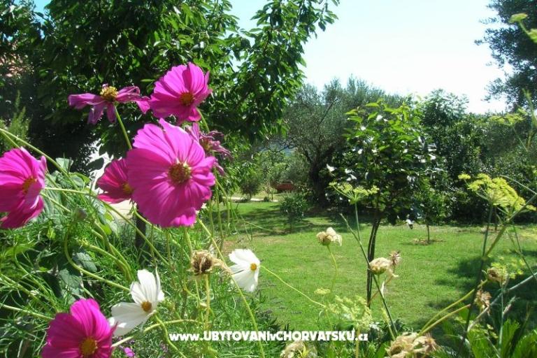 Apartments Mira &amp; Vinko – photo 17