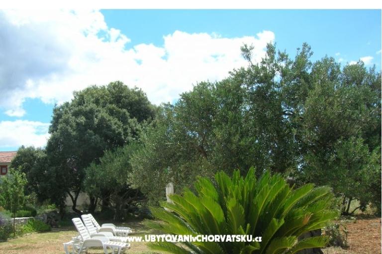 Apartments Mira &amp; Vinko – photo 9