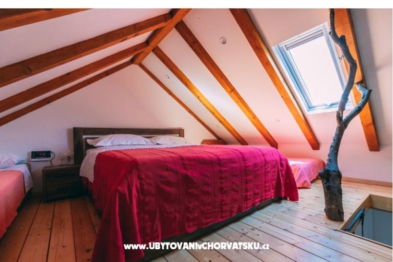 Green House (Dogs are welcome) – photo 24