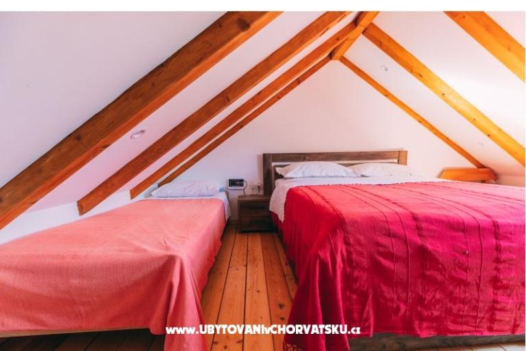 Green House (Dogs are welcome) – photo 25