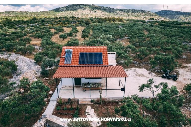 Green House (Dogs are welcome) – photo 3