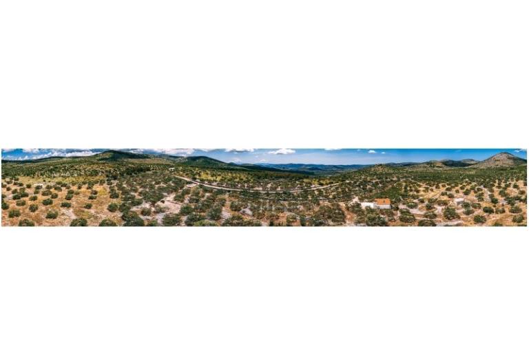 Green House (Dogs are welcome) – photo 4