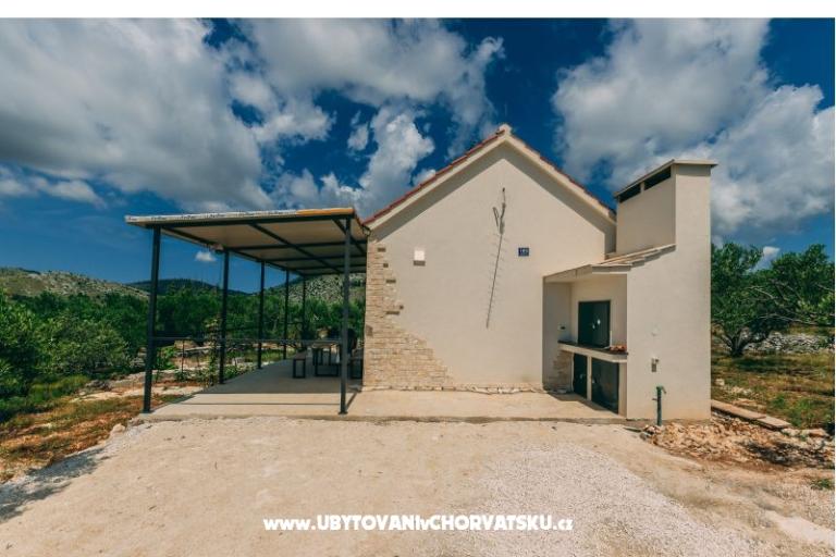 Green House (Dogs are welcome) – photo 5