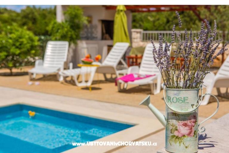 Apartments Vila Nena with pool – photo 6