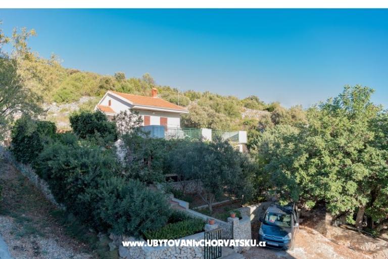 Villa Stella – photo 17
