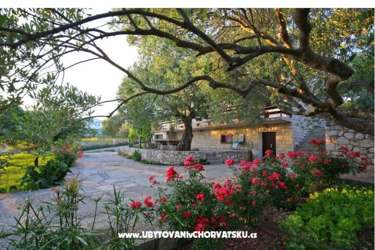 Apartments Nekic  – photo 7