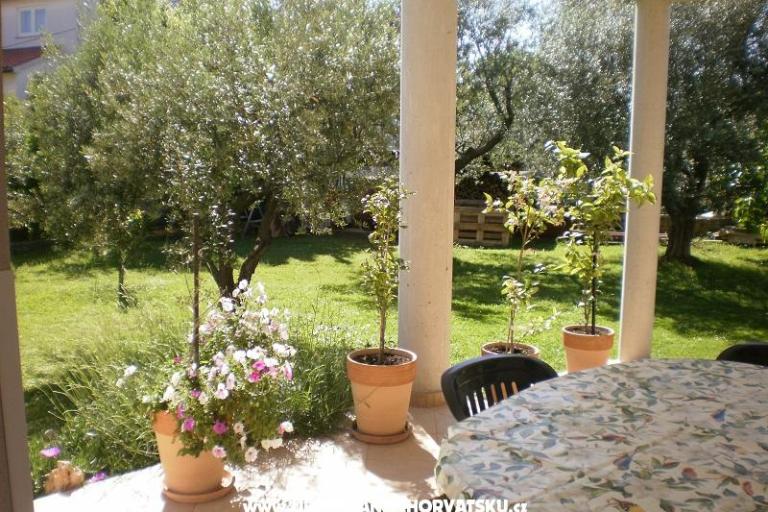 Apartment Silva – photo 4