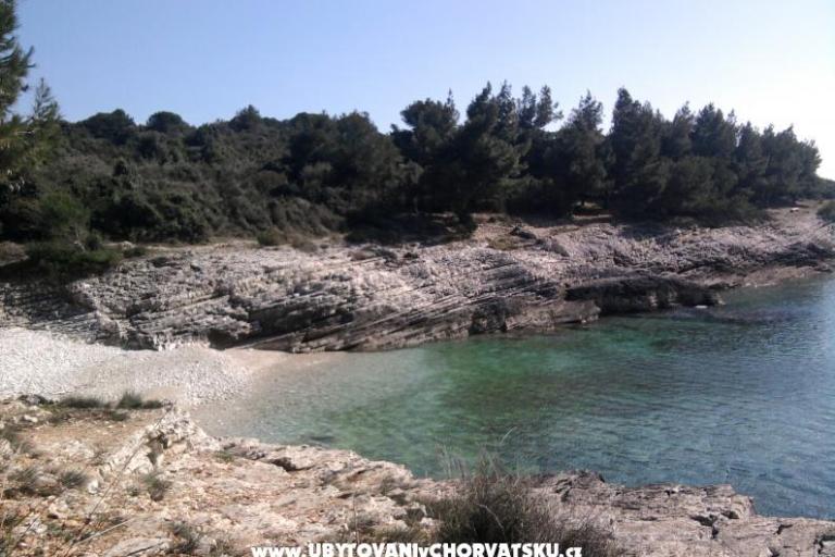 Apartments Croatia – photo 8