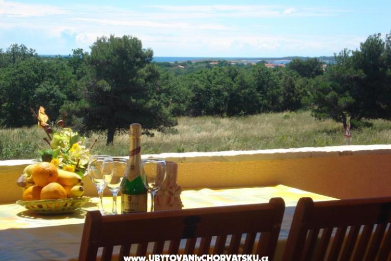 Villa Orange – photo 13