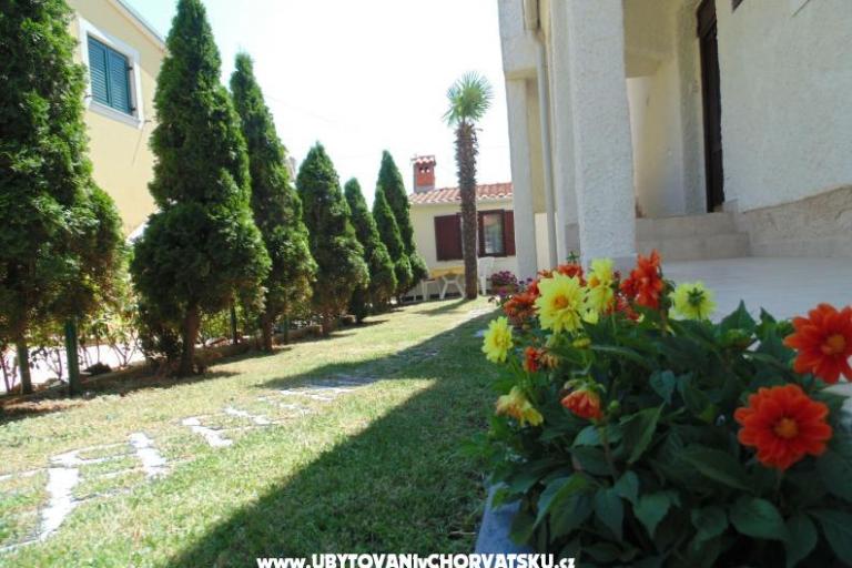 Apartments Regi – photo 8